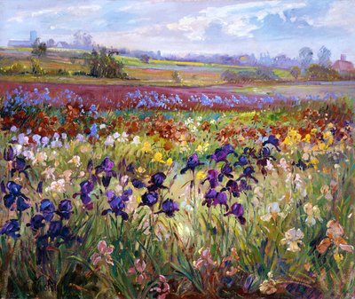 A través de Burgate de Timothy Easton